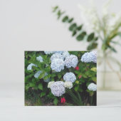 Carte Postale Fleurs d'Hydrangée Bleue dans le jardin d'été (Debout devant)
