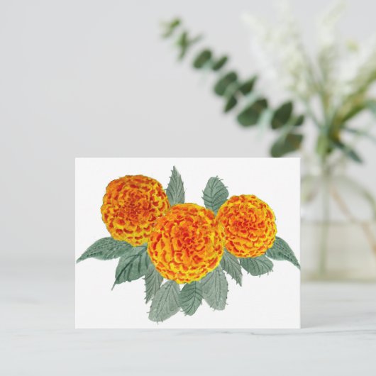 Carte Postale Fleurs d'Hydrangée orange (Debout devant)