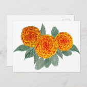 Carte Postale Fleurs d'Hydrangée orange (Devant / Derrière)