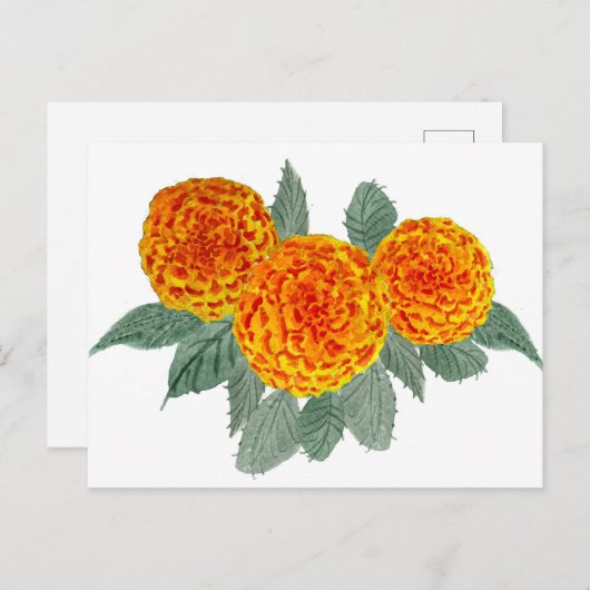 Carte Postale Fleurs d'Hydrangée orange (Devant / Derrière)