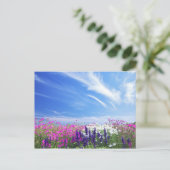 Carte Postale Fleurs Dianthus et Salvia (Debout devant)