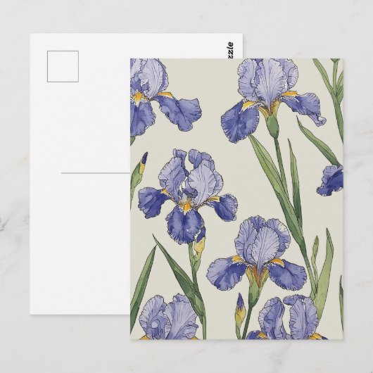 Carte Postale Fleurs d'Iris Bleu (Devant / Derrière)