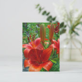 Carte Postale Fleurs d'Oranger de Lys (Debout devant)