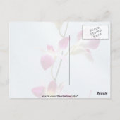 Carte Postale Fleurs d'orchidées de Singapour (Dos)