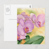 Carte Postale Fleurs d'orchidées Phalaenopsis Lavande Rose (Devant / Derrière)