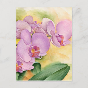 Carte Postale Fleurs d'orchidées Phalaenopsis Lavande Rose