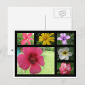 Carte Postale Fleurs du Costa Rica (Devant / Derrière)