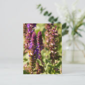 Carte Postale Fleurs du coucher de soleil (Debout devant)
