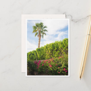 Carte Postale Fleurs du désert de Palm Springs & Palmier