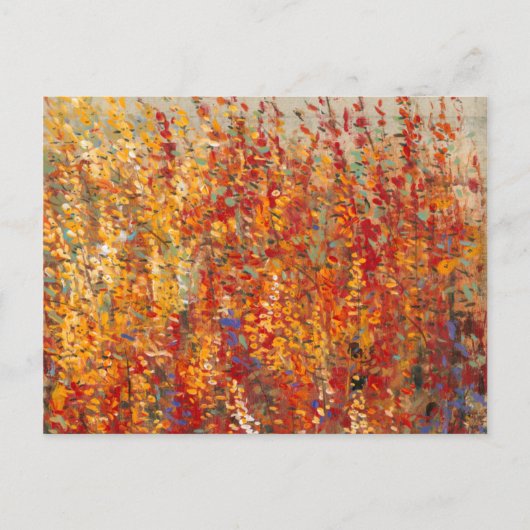 Carte Postale Fleurs du désert II (Devant)