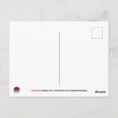 Carte Postale Fleurs du lac de Zurich (Dos)