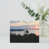 CARTE POSTALE FLEURS DU LAC OZARK (Debout devant)
