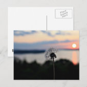 CARTE POSTALE FLEURS DU LAC OZARK (Devant / Derrière)