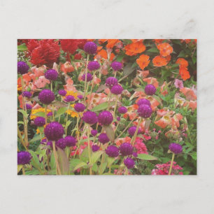 Carte Postale Fleurs du magasin d'alimentation