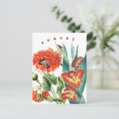 Carte Postale Fleurs du mois d'août Gladiolus & Coquelicot | (Debout devant)