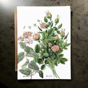 Carte Postale Fleurs du mois de juin Chèvrefeuille Rose