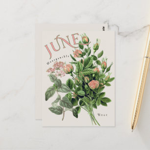 Carte Postale Fleurs du mois de juin Chèvrefeuille Rose Beige