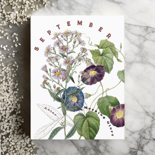 Carte Postale Fleurs du mois de septembre Aster & Volubilis  