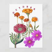 Carte Postale Fleurs du mois d'octobre Marigold & Cosmos | (Devant)
