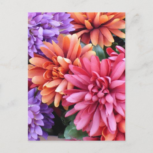 Carte Postale Fleurs éclatantes (Devant)