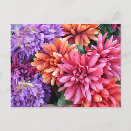 Carte Postale Fleurs éclatantes (Devant)