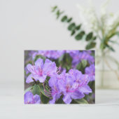 Carte Postale fleurs élégantes d'azalée violette 杜 鹃 花 (Debout devant)