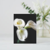Carte Postale Fleurs élégantes de calla Lily 6 Moderne (Debout devant)