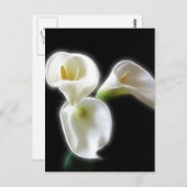 Carte Postale Fleurs élégantes de calla Lily 6 Moderne (Devant / Derrière)