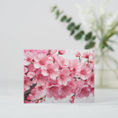 Carte Postale Fleurs élégantes de cerisier rose en fleurs (Debout devant)