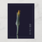 Carte Postale Fleurs Élégantes Simples Personnalisées pour un Ré (Devant)