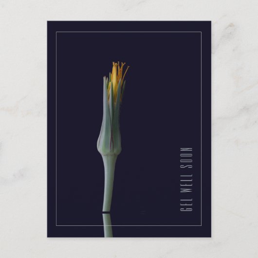 Carte Postale Fleurs Élégantes Simples Personnalisées pour un Ré (Devant)