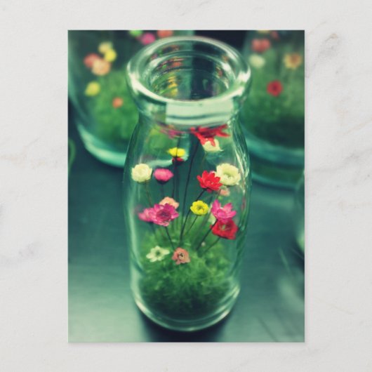 Carte Postale Fleurs en bouteille (Devant)