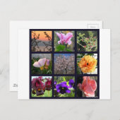 Carte Postale Fleurs en Israël (Devant / Derrière)