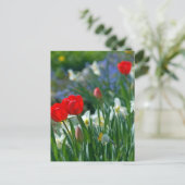 Carte Postale Fleurs en mai (Debout devant)