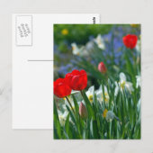 Carte Postale Fleurs en mai (Devant / Derrière)