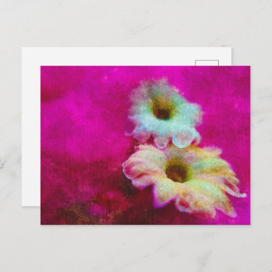 Carte Postale Fleurs en rose (Devant / Derrière)