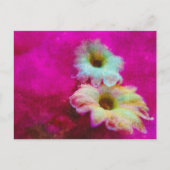Carte Postale Fleurs en rose (Devant)