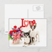 Carte Postale Fleurs et amour (Devant / Derrière)