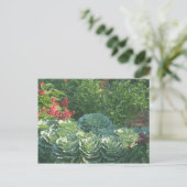 Carte Postale Fleurs et cages (Debout devant)