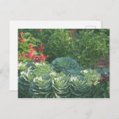 Carte Postale Fleurs et cages (Devant / Derrière)