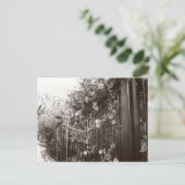 Carte Postale Fleurs et clôture en fer forgé, Tilt-Shift, B&W (Debout devant)