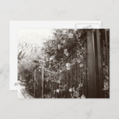 Carte Postale Fleurs et clôture en fer forgé, Tilt-Shift, B&W (Devant / Derrière)