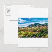 Carte Postale Fleurs Et Flatirons (Devant / Derrière)