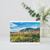 Carte Postale Fleurs Et Flatirons (Debout devant)