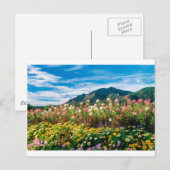 Carte Postale Fleurs Et Flatirons (Devant / Derrière)