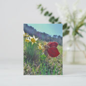 Carte Postale Fleurs et fleurs jaunes (Debout devant)