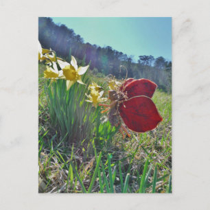 Carte Postale Fleurs et fleurs jaunes