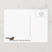 Carte Postale Fleurs et mouettes sur l'île Anacapa (Dos)