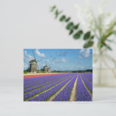 Carte postale Fleurs et moulins à vent (Debout devant)