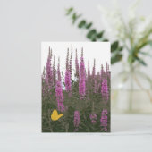 Carte Postale Fleurs et papillon (Debout devant)